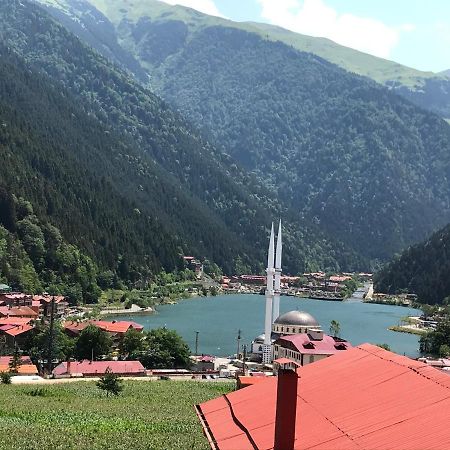 Karenes Kuzey Pansiyon Caykara Exteriör bild