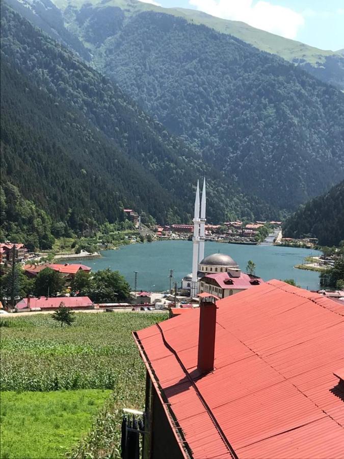 Karenes Kuzey Pansiyon Caykara Exteriör bild
